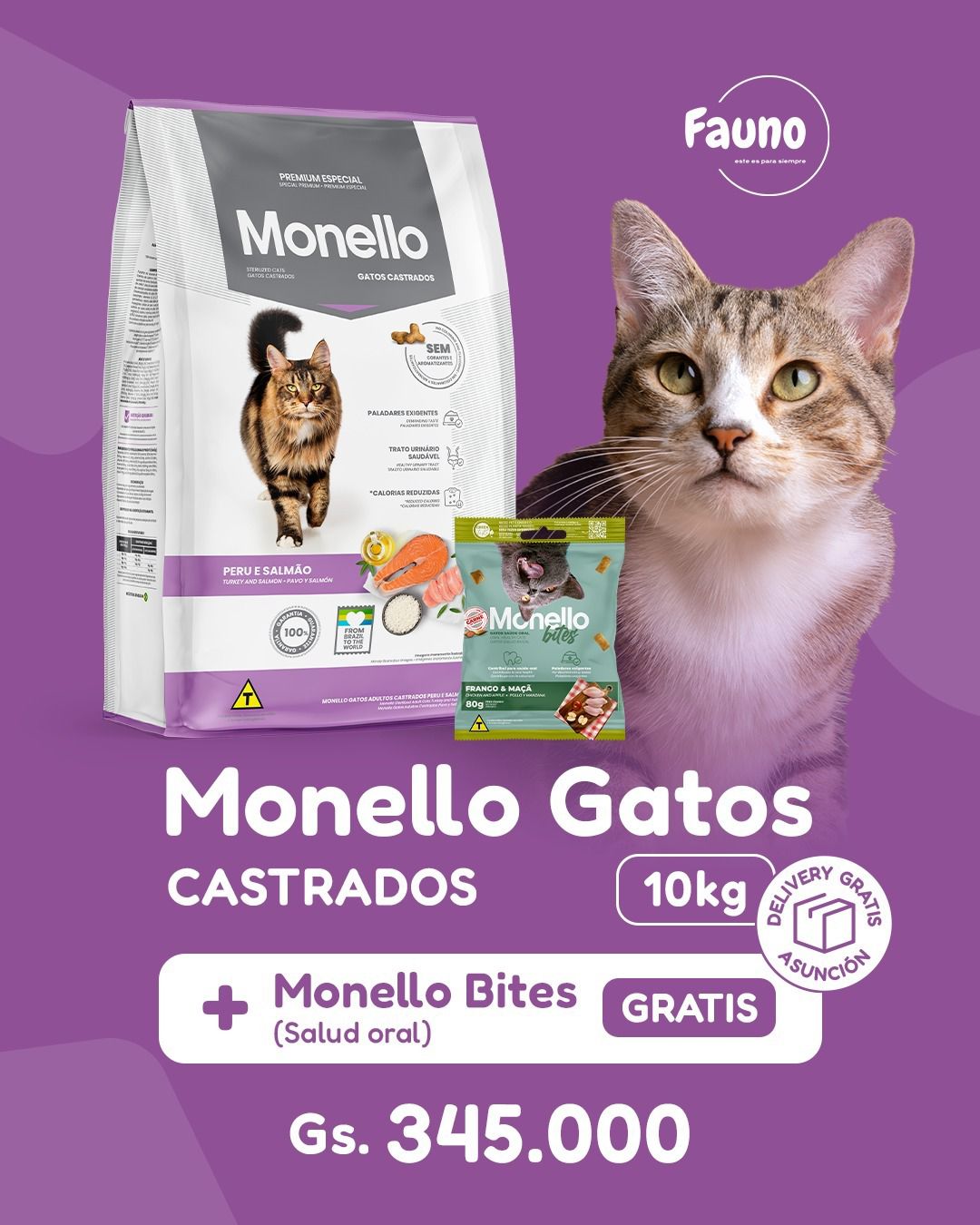 PROMO Monello Gato Castrado 10 kg + Bite de Regalo